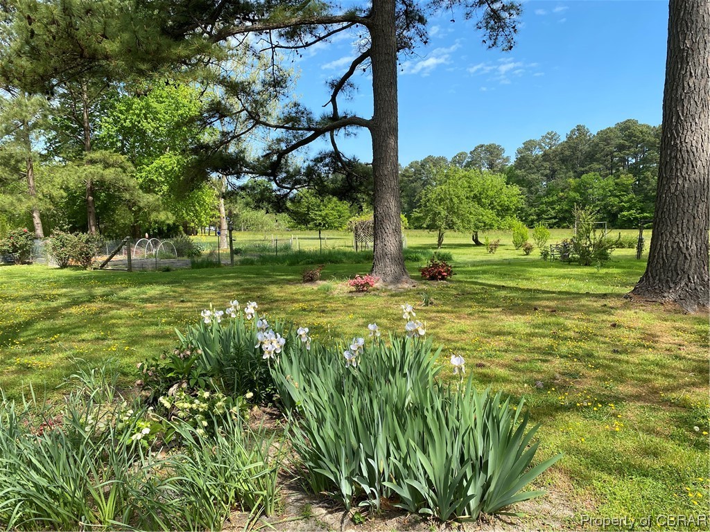 1595 Fitchetts Wharf Road Moon, VA 23119 - Photo 38 of 50