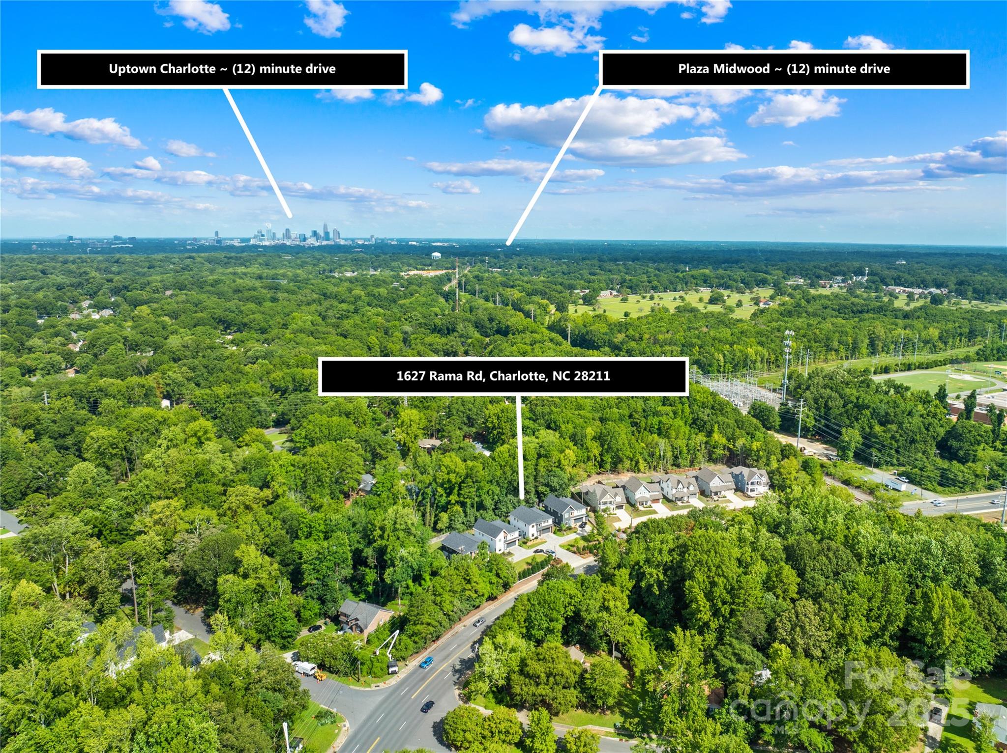 1627 Rama Road Charlotte, NC 28211 - Photo 6 of 43 a view of a bunch of plants