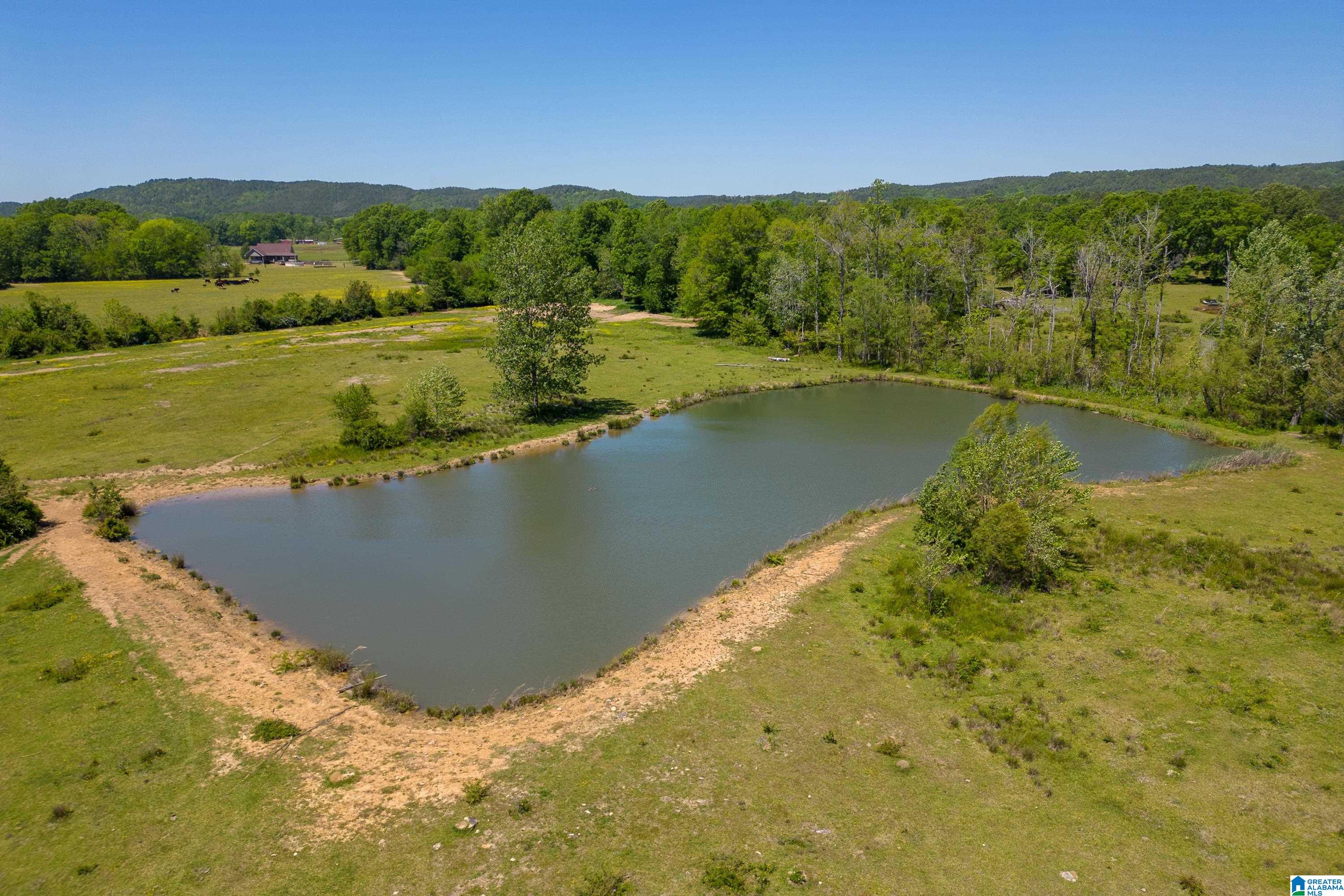 4493 Odens Mill Road Sylacauga, AL 35151 - Photo 13 of 62