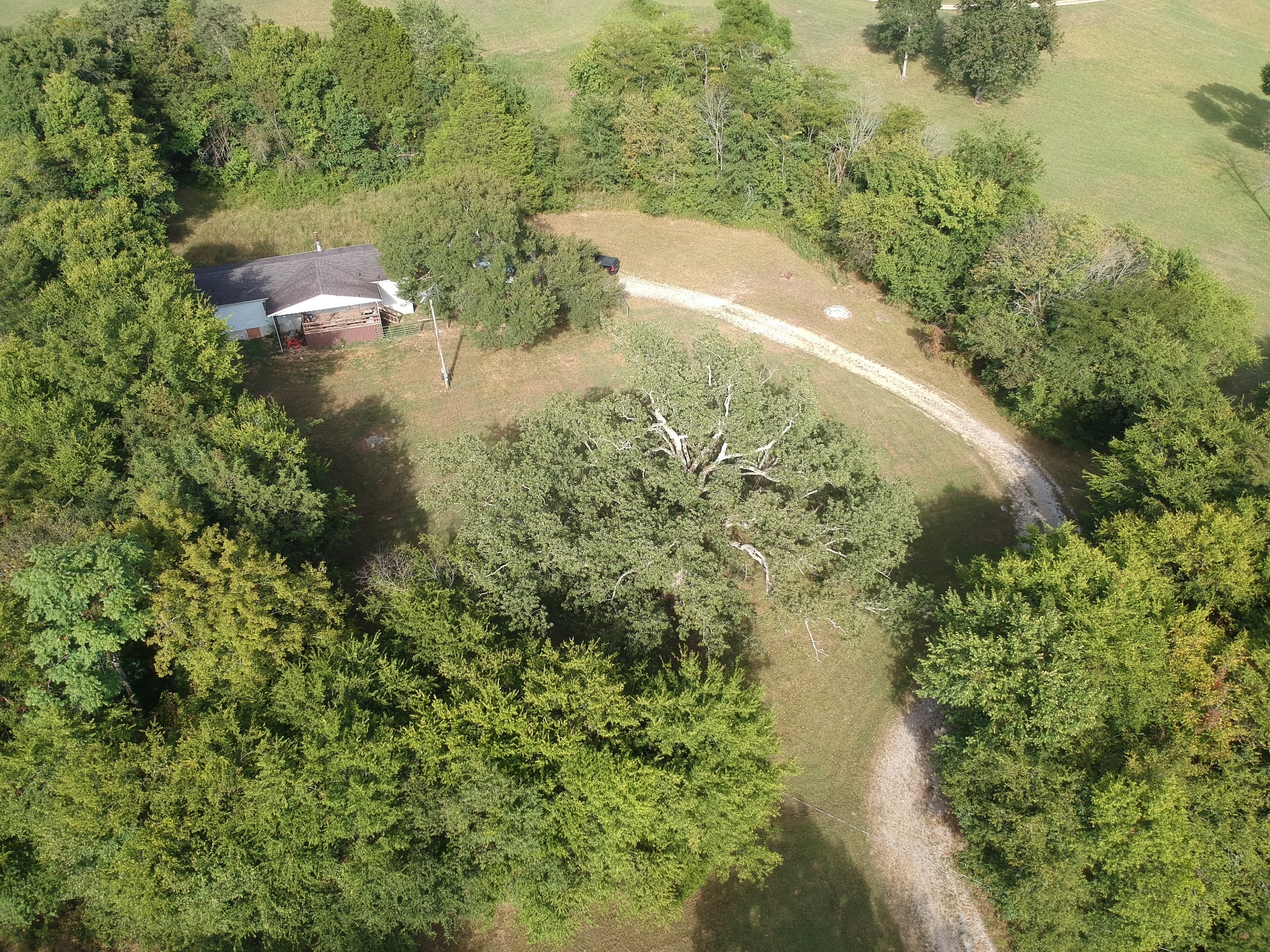 225 Opossum Hollow Road Watertown, TN 37184 - Photo 4 of 29 a view of a lake in a forest