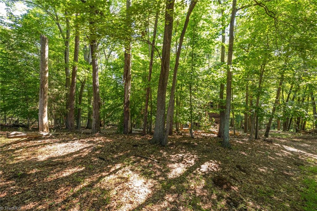 7289 Plunkett Road Stokesdale, NC 27357 - Photo 10 of 27