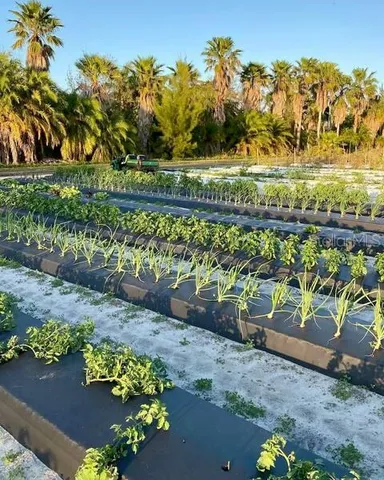 $564,900 | 6906 18th Avenue West, Bradenton, FL 34209