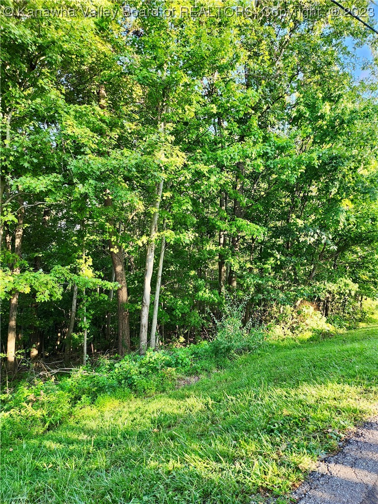 65 Nature's Way Ripley, WV 25271 - Photo 12 of 18 Gallery Image 12