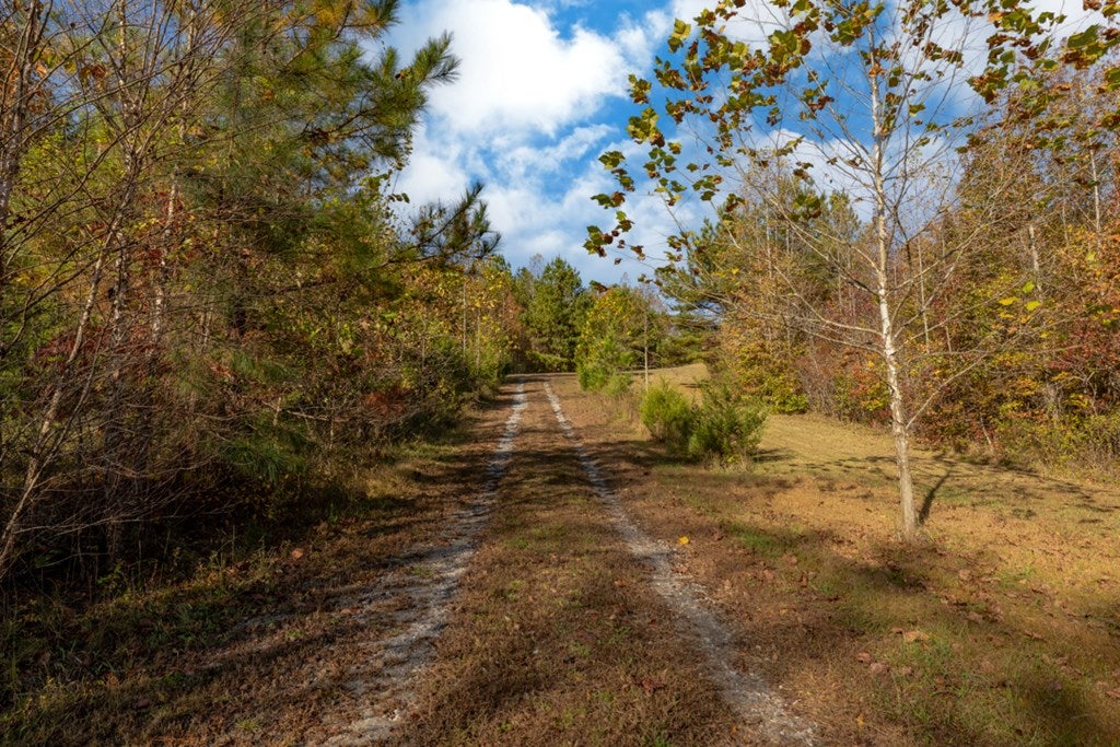 Crymes Road, Unit 13A Keysville, VA 23947 - Photo 14 of 39 Gallery Image 14