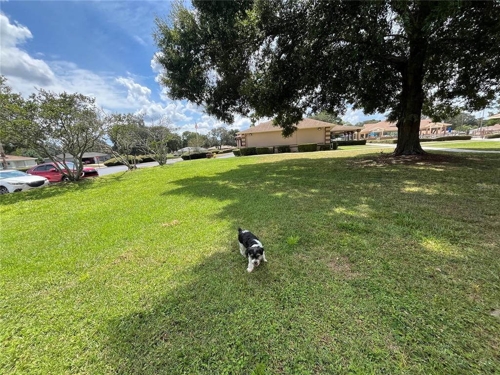 10583 Southwest 62nd Ter Road Ocala, FL 34476 - Photo 59 of 59 a view of a park with large trees