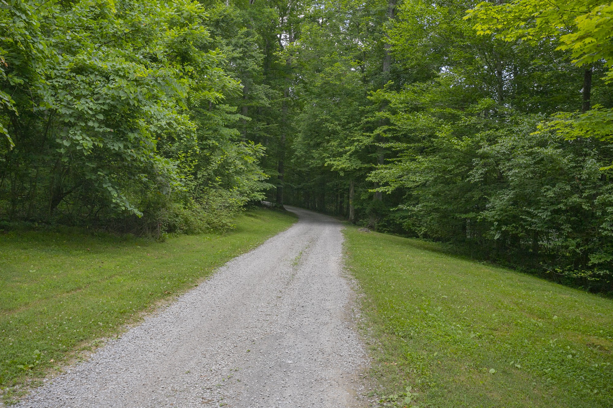 796 Thompson Road Pegram, TN 37143 - Photo 27 of 38 a view of a street both of side of trees with entertaining space