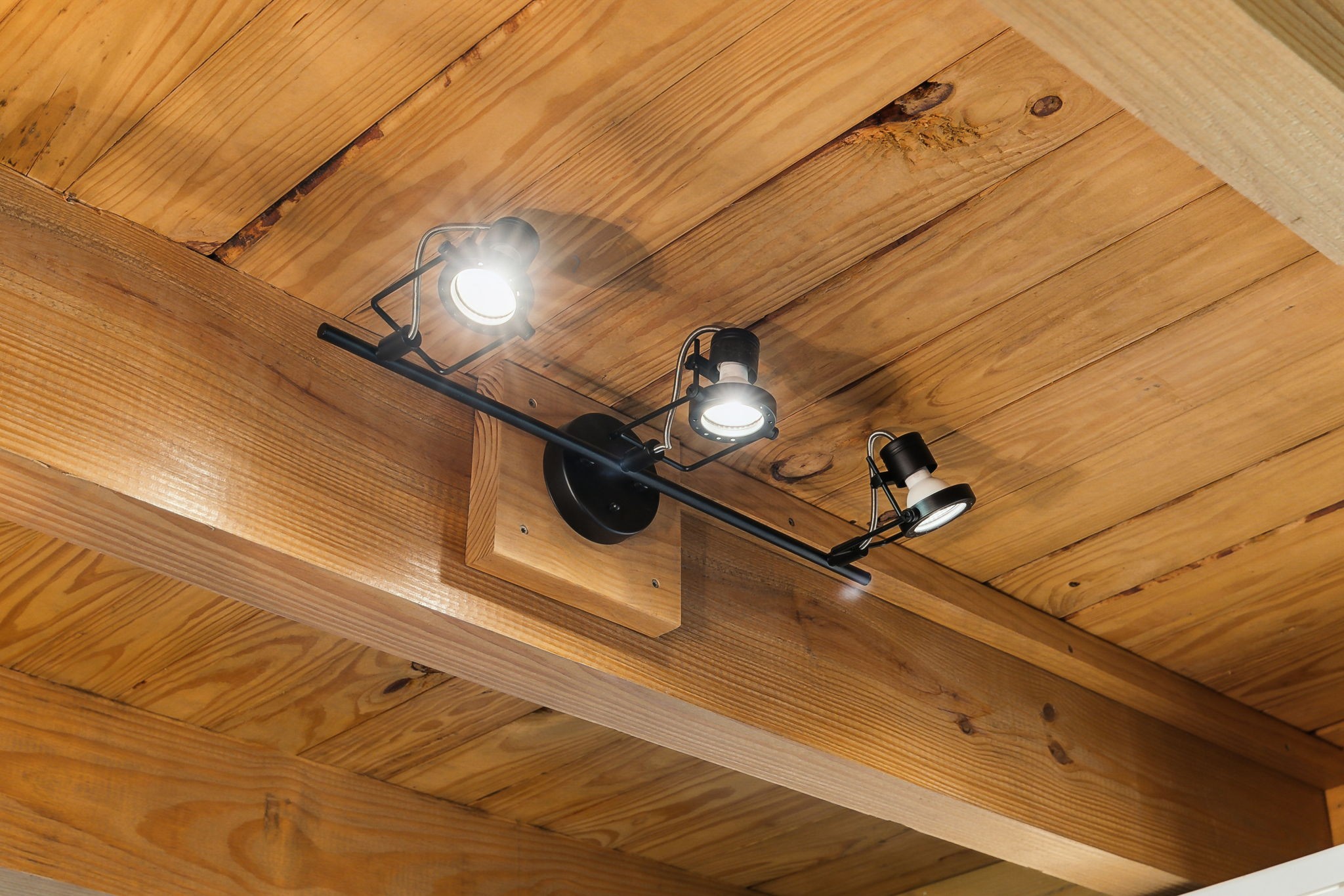 1606 Nosegay Road White Bluff, TN 37187 - Photo 28 of 88