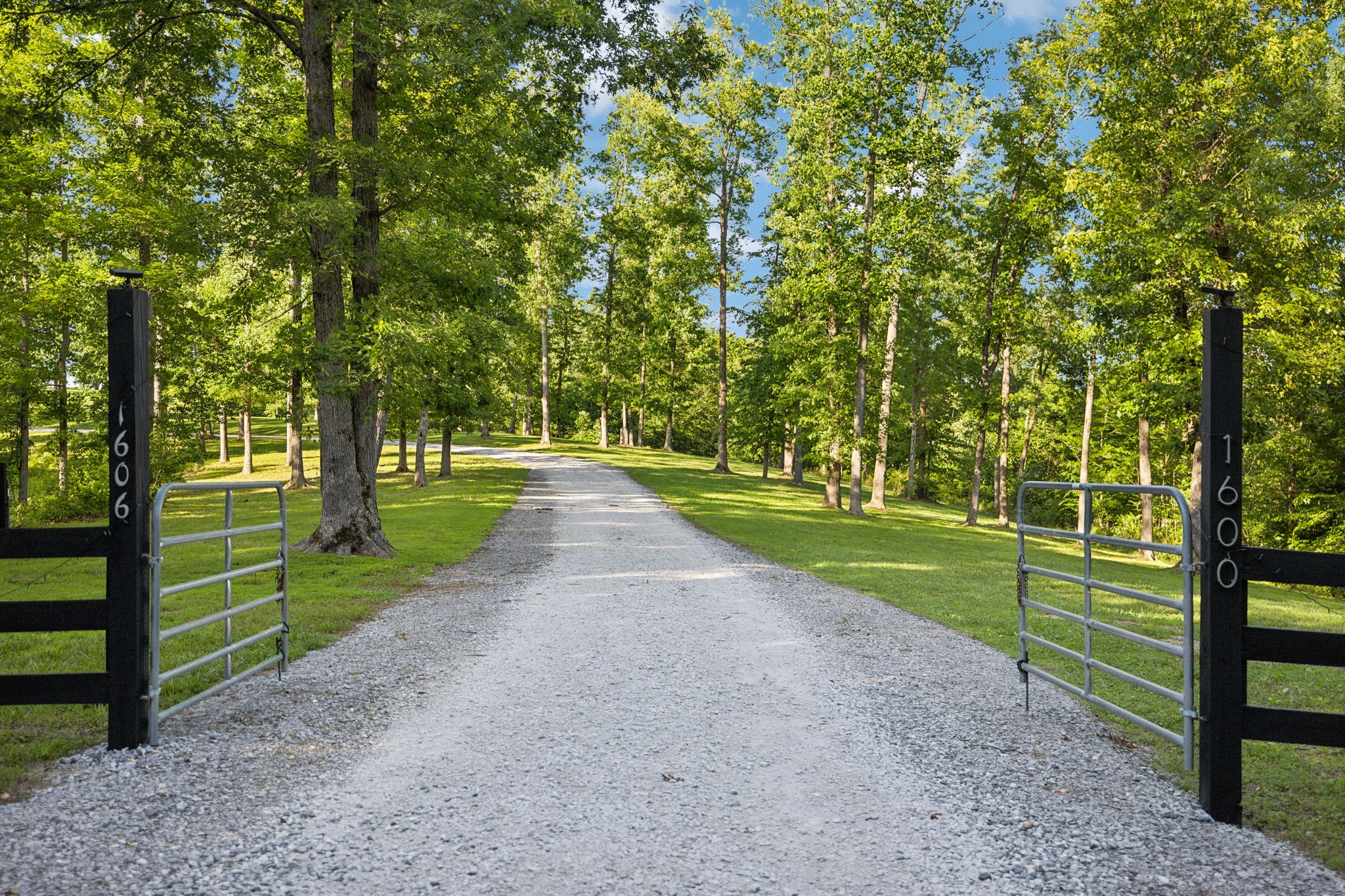 1606 Nosegay Road White Bluff, TN 37187 - Photo 4 of 88