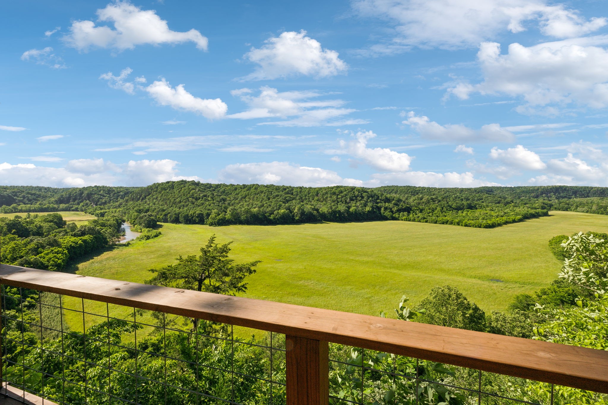 1606 Nosegay Road White Bluff, TN 37187 - Photo 81 of 88