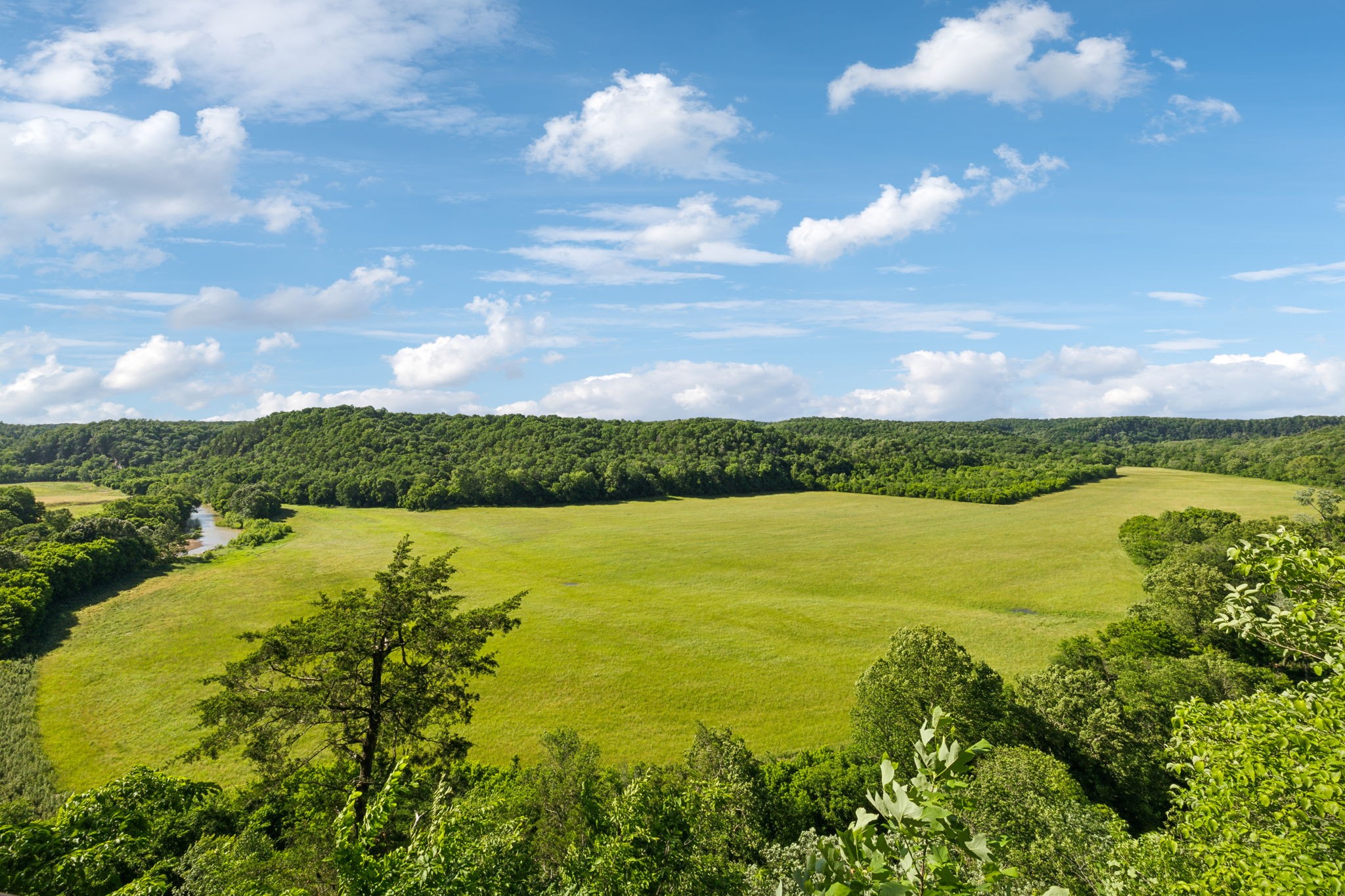1606 Nosegay Road White Bluff, TN 37187 - Photo 83 of 88 a view of an ocean and beach