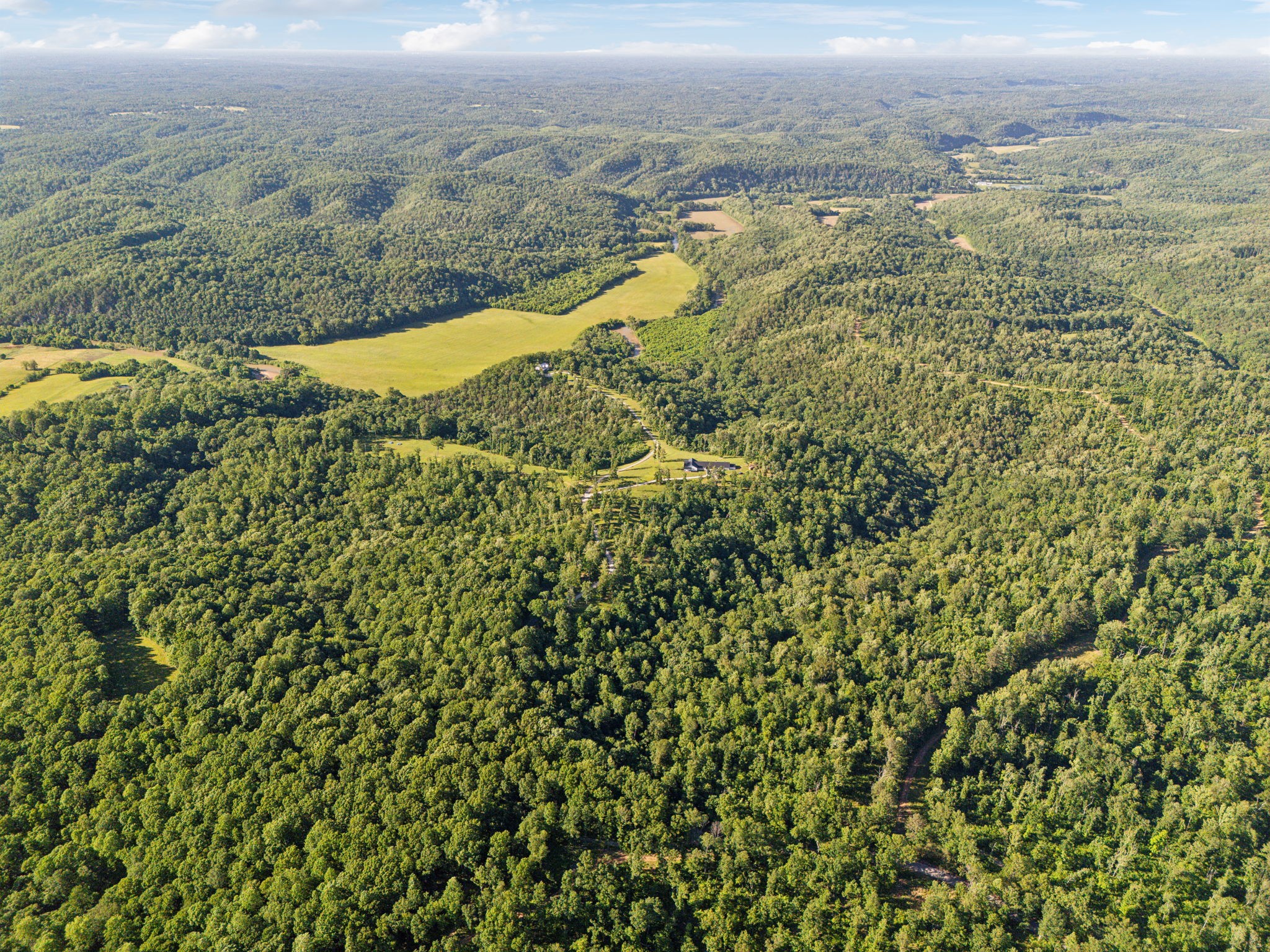 1606 Nosegay Road White Bluff, TN 37187 - Photo 84 of 88