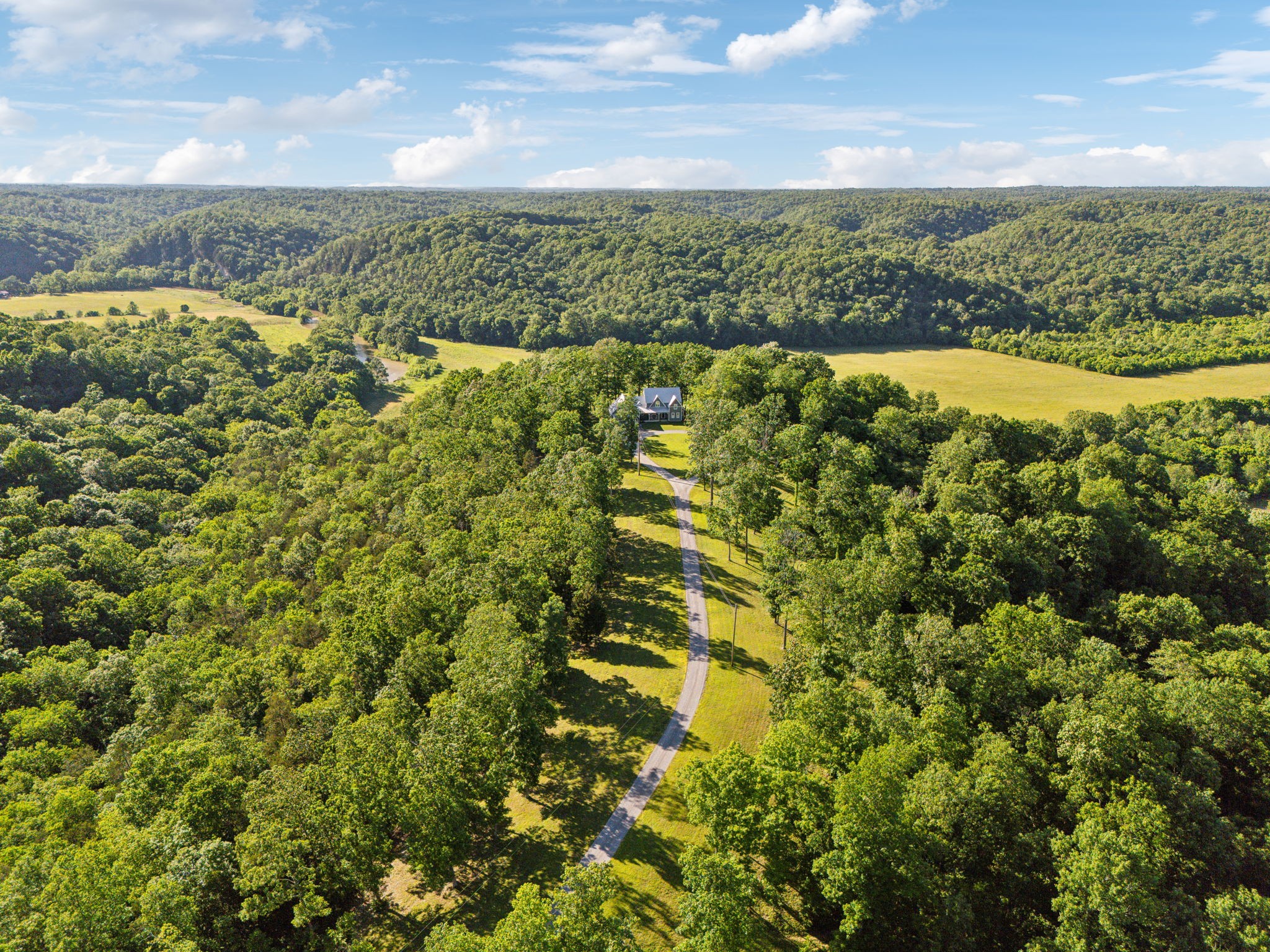 1606 Nosegay Road White Bluff, TN 37187 - Photo 10 of 88