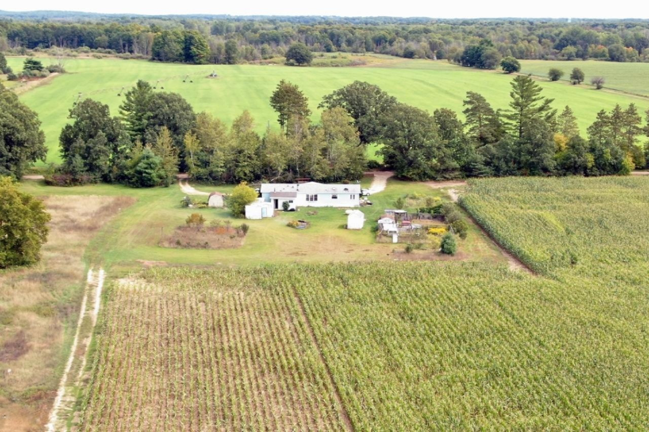 10635 Nimberger Road Lakeview, MI 48850 - Photo 2 of 18 2