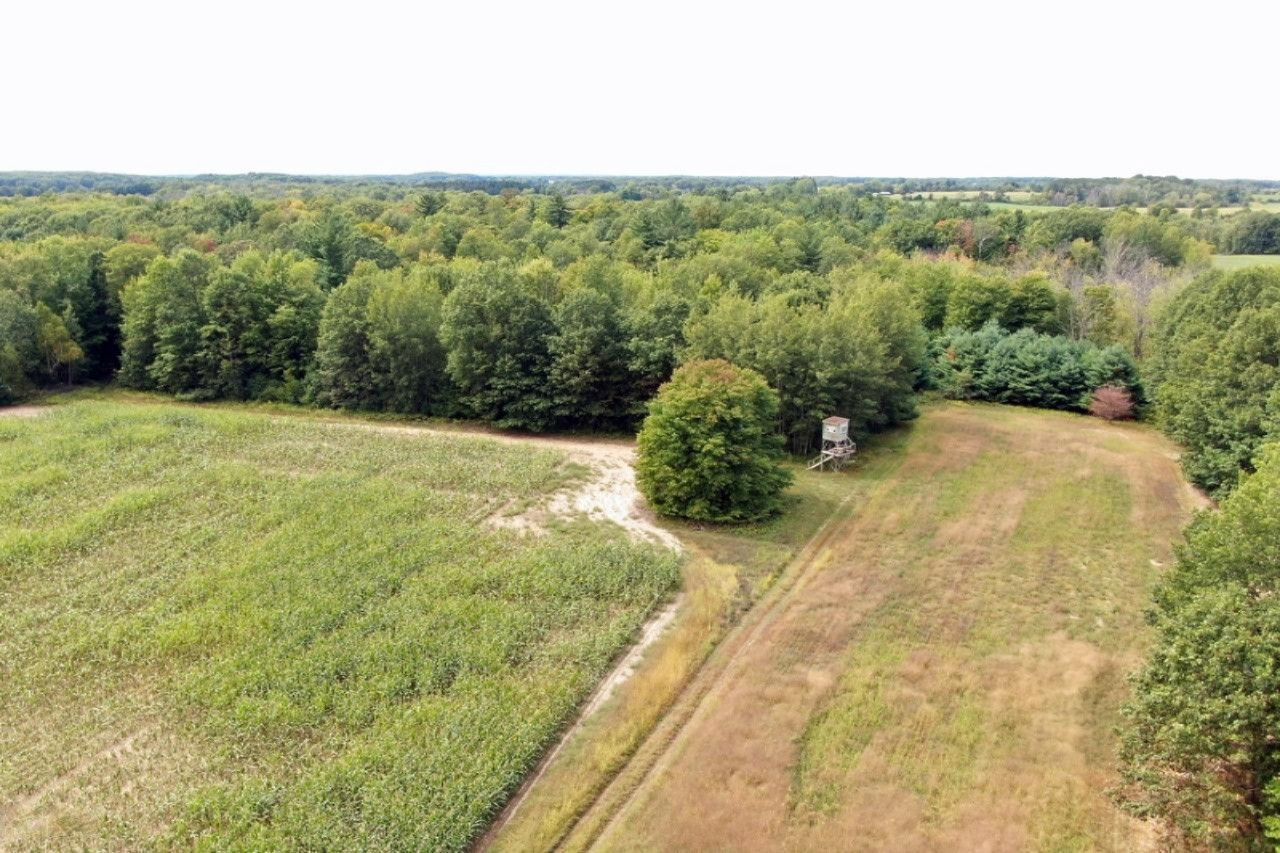 10635 Nimberger Road Lakeview, MI 48850 - Photo 6 of 18 6