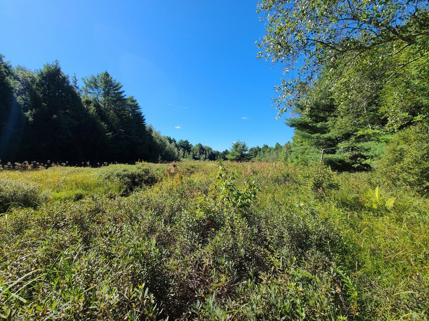 600 Dow Pond Road Palermo, ME 04354 - Photo 4 of 12 4 (Copy)