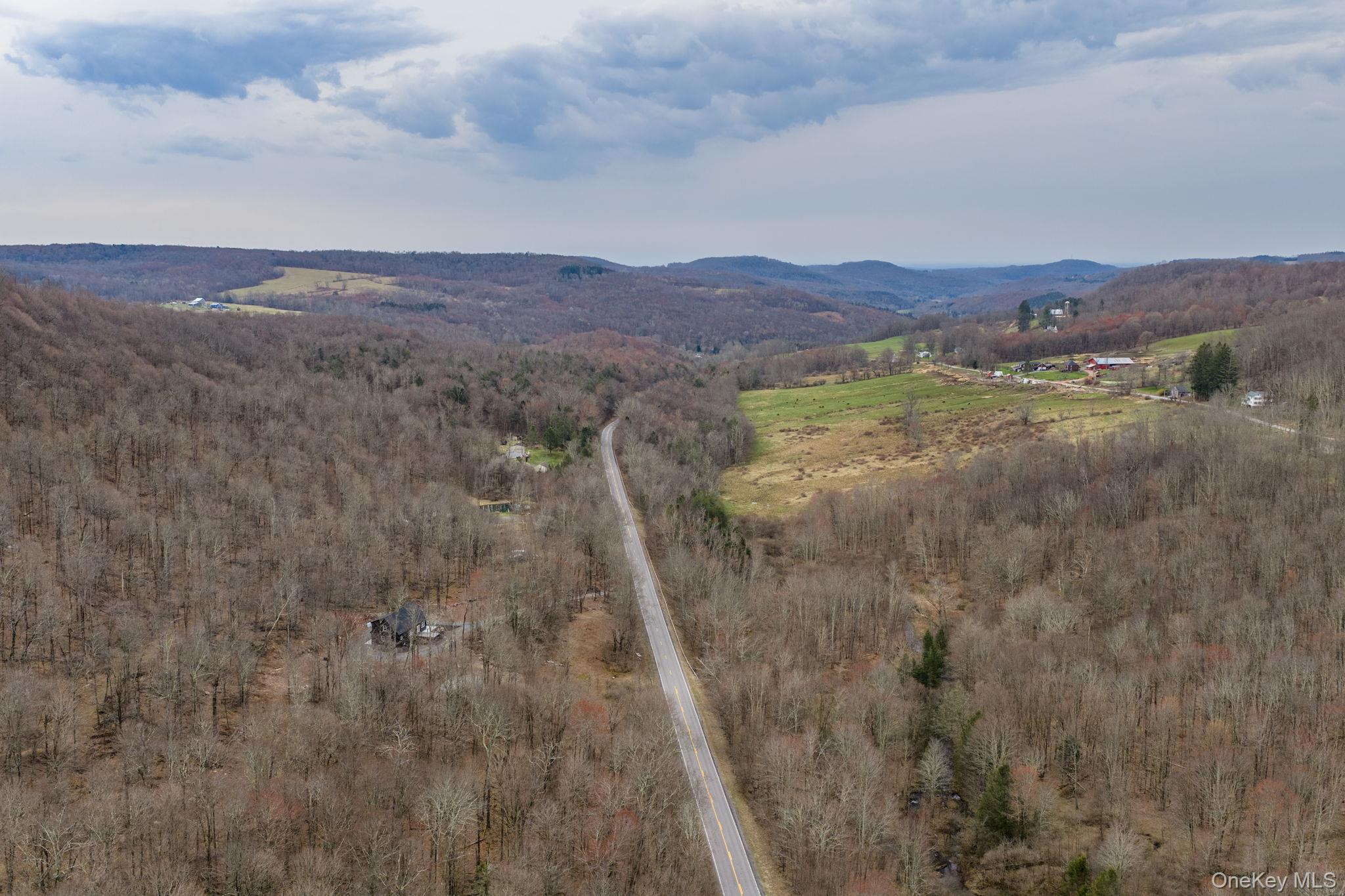 1211 Gulf Road Callicoon Center, NY 12724 - Photo 29 of 31