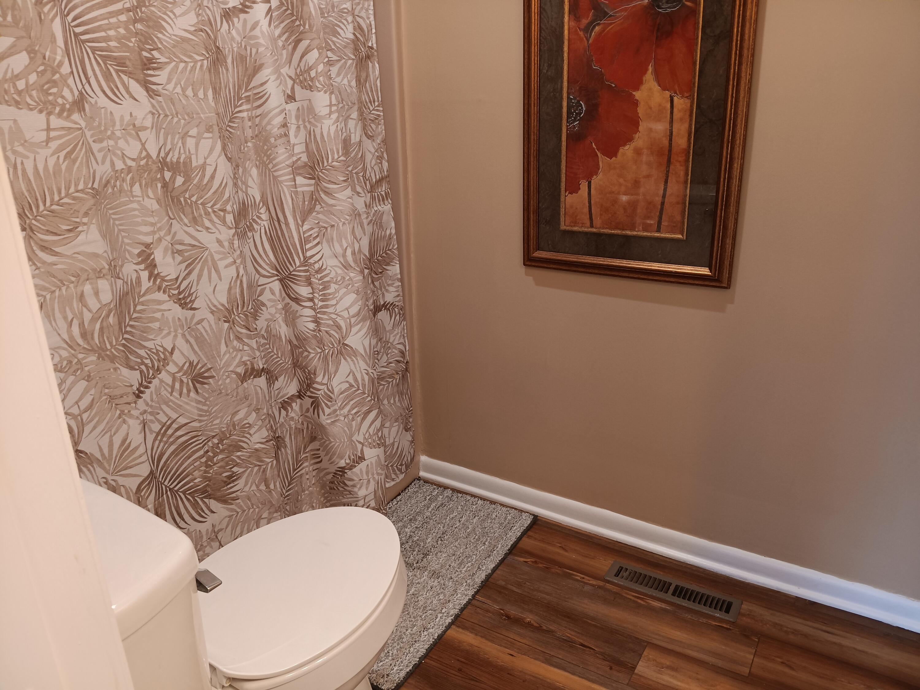 6000 Ferrum Mountain Road Callaway, VA 24067 - Photo 38 of 58 v.3 upper bath