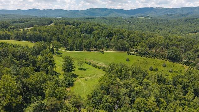 6000 Ferrum Mountain Road Callaway, VA 24067 - Photo 55 of 58 a view of a lush green hillside and a houses