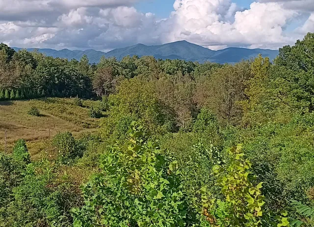 $495,000 | 6000 Ferrum Mountain Road, Callaway, VA 24067