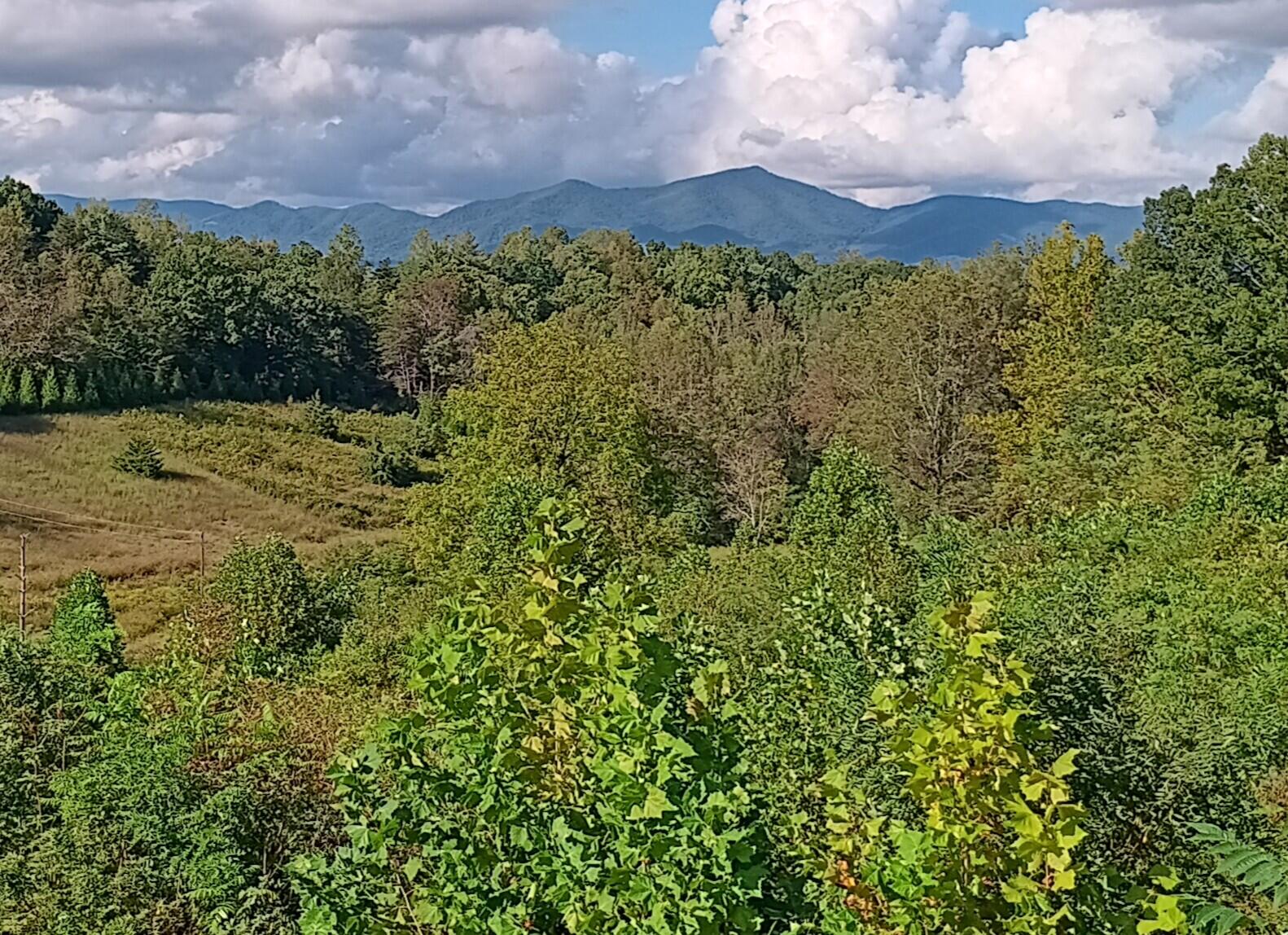 6000 Ferrum Mountain Road Callaway, VA 24067 - Photo 57 of 58 vista