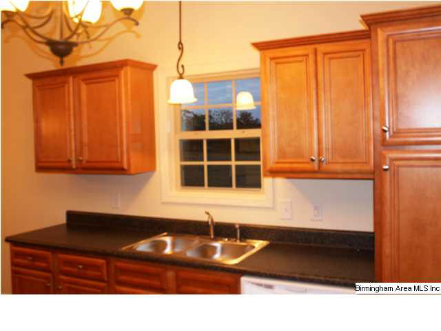 85 Sterling Road Eastaboga, AL 36260 - Photo 10 of 30