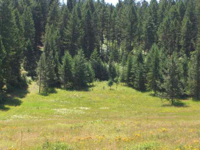 822 Lot J Barzee Road Colville, WA 99114 - Photo 1 of 2 Gallery Image 1