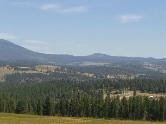 822 Lot J Barzee Road Colville, WA 99114 - Photo 2 of 2 Gallery Image 2