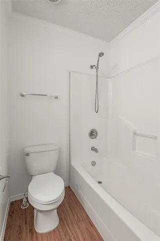 a view of a backyard with plants and a large tree