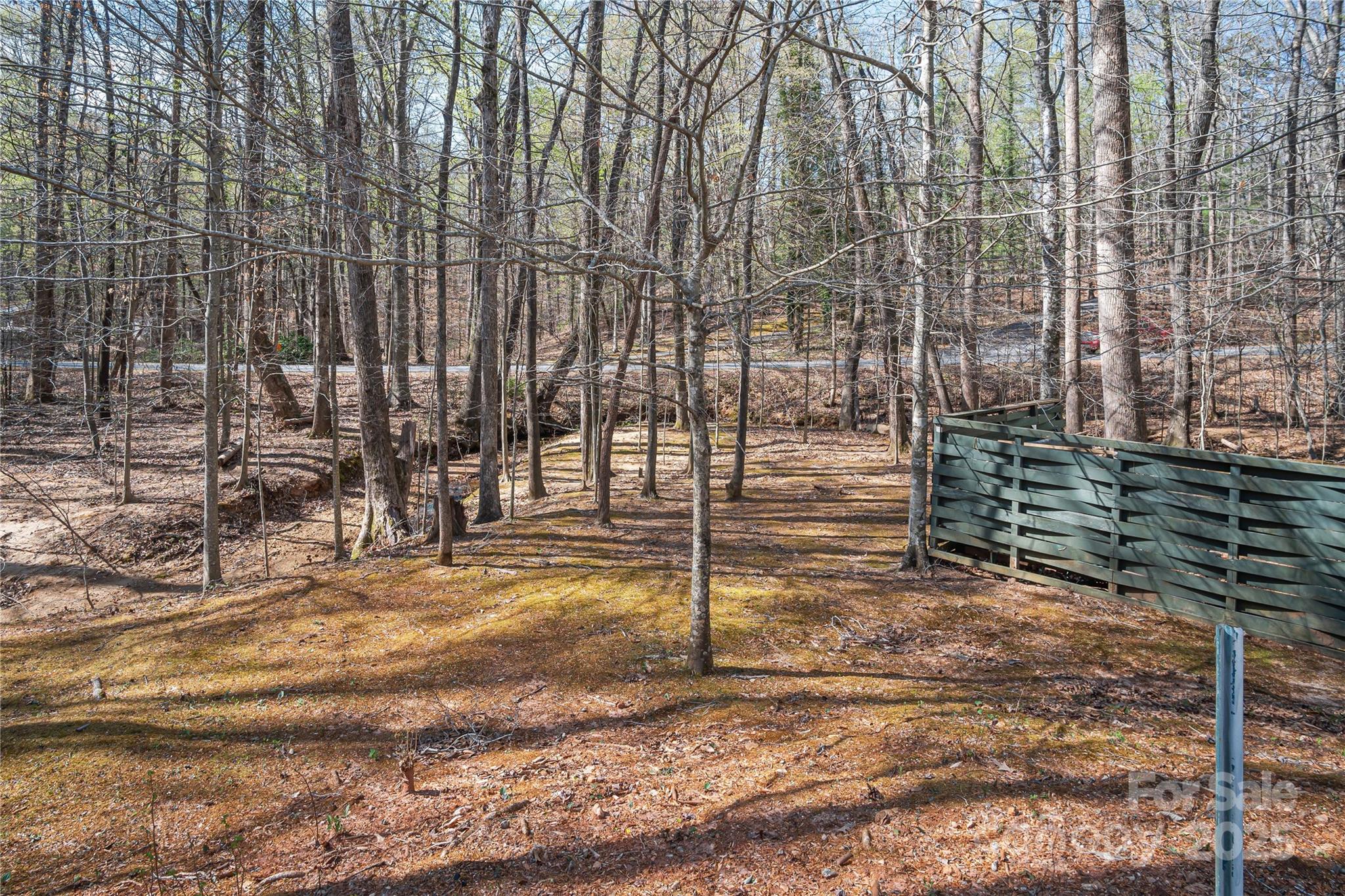 595 Houston Road Columbus, NC 28722 - Photo 19 of 46 Gallery Image 19