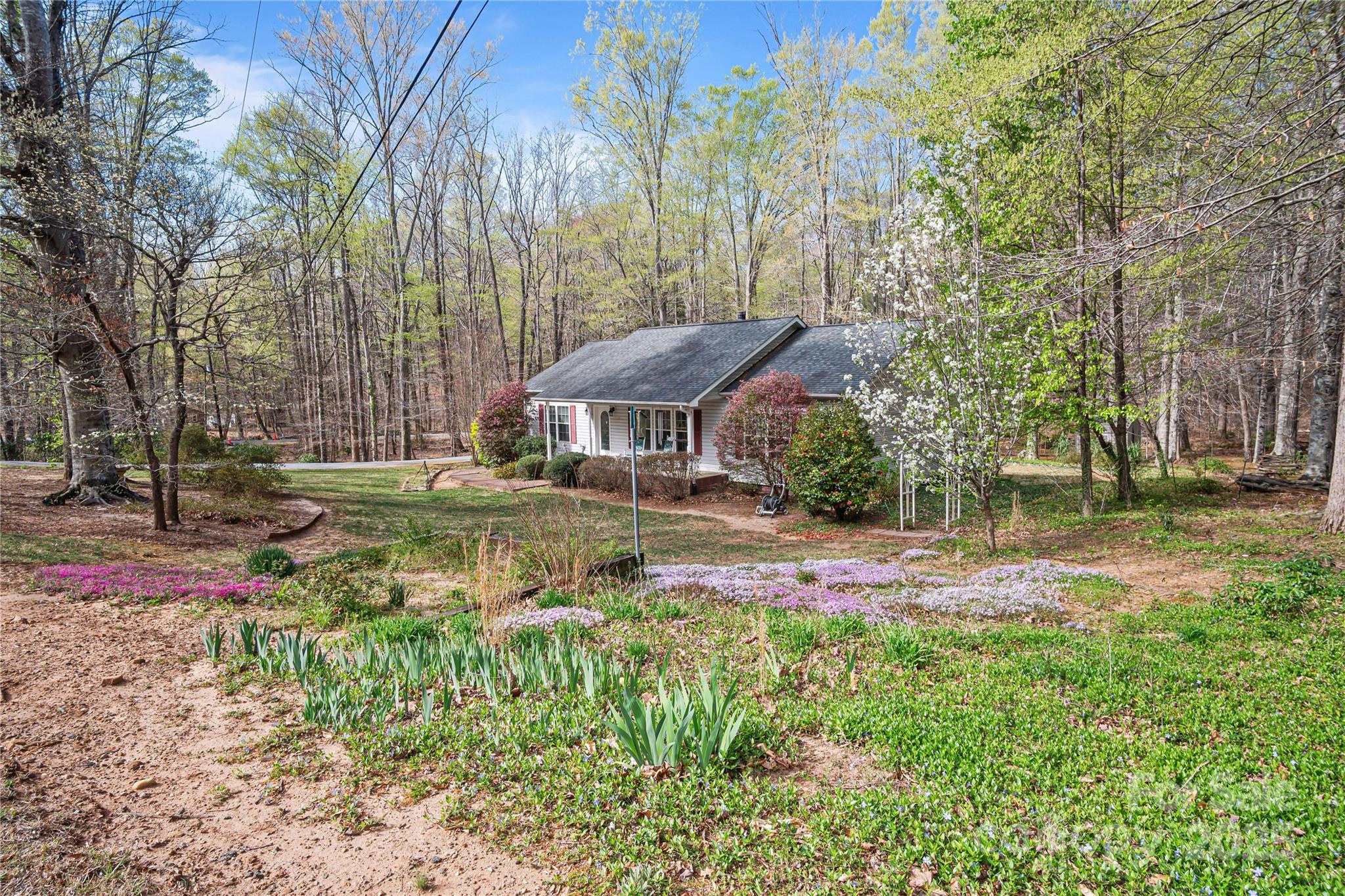 595 Houston Road Columbus, NC 28722 - Photo 3 of 46 Gallery Image 3
