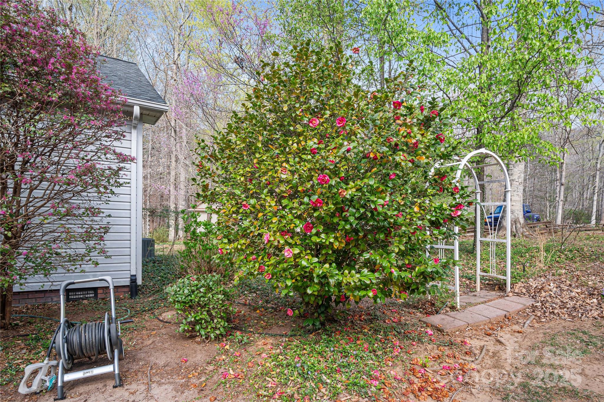 595 Houston Road Columbus, NC 28722 - Photo 7 of 46 Gallery Image 7