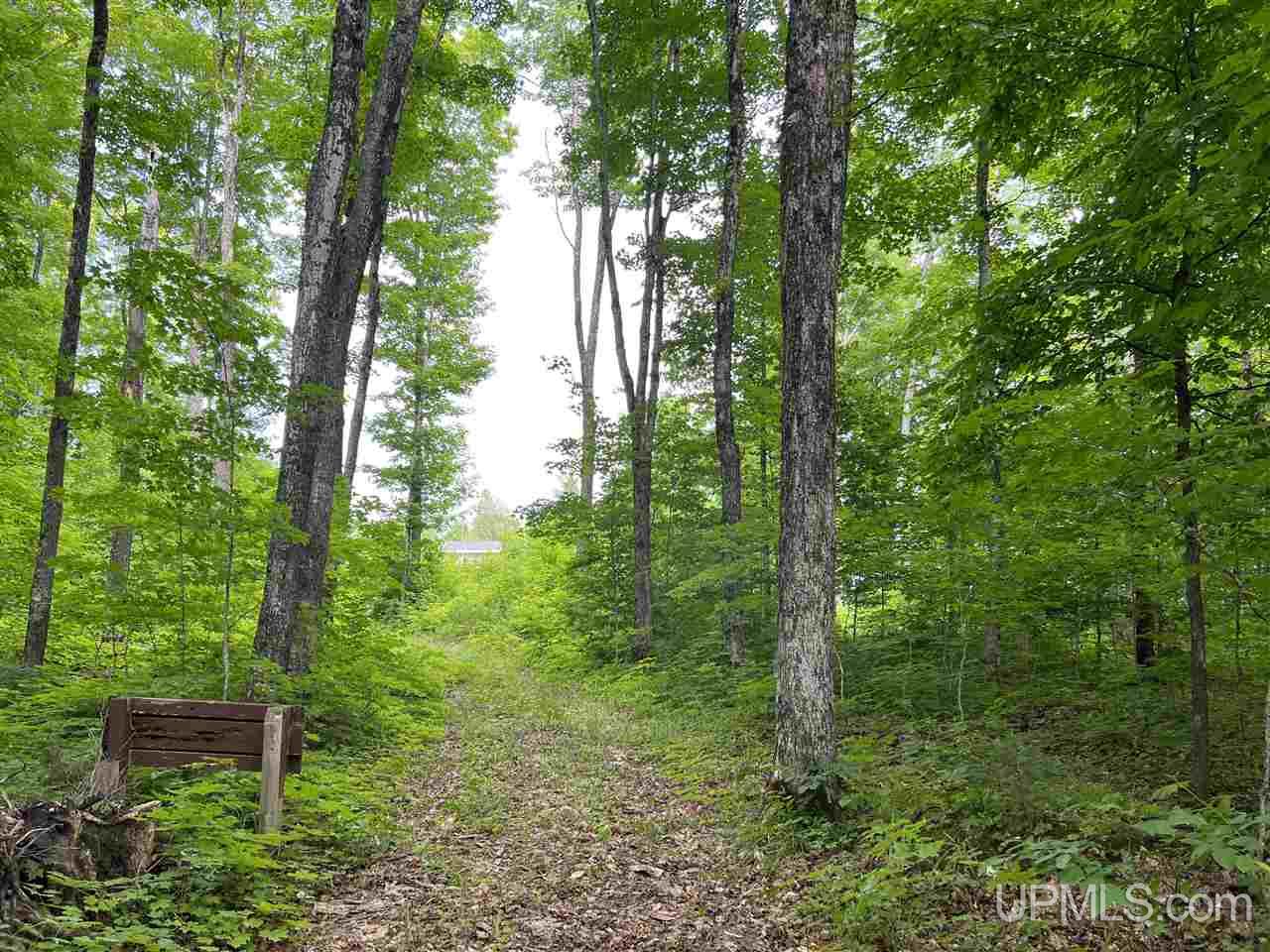 N7177 Indiantown Road Munising, MI 49862 - Photo 3 of 74