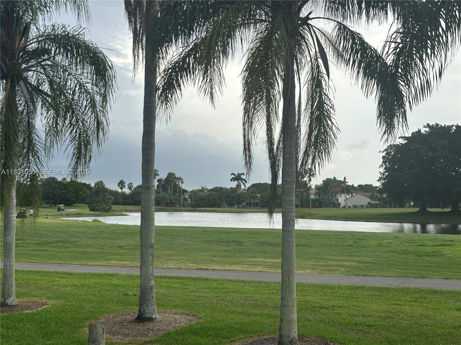 16251 Golf Club Road, Unit 204 Weston, FL 33326 - Photo 37 of 40 a view of a park with palm trees