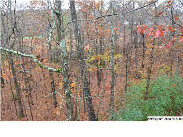 6 Hunters Trace Pelham, AL 35124 - Photo 15 of 15