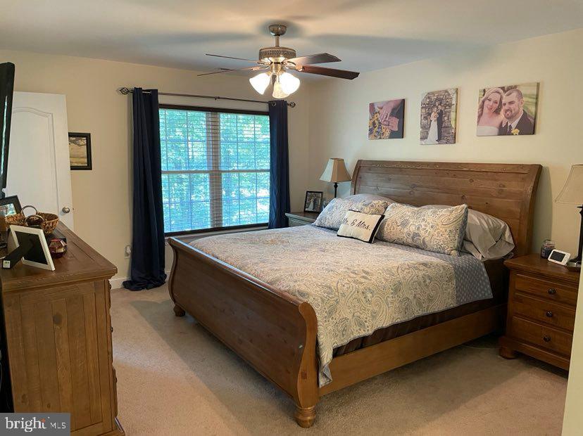 282 Fairview Church Road Gore, VA 22637 - Photo 12 of 22