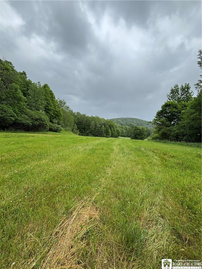 1471 Loomis Road Rexville, NY 14877 - Photo 17 of 50
