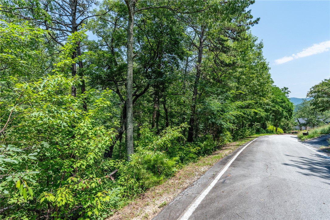 19 Foggy Ridge Way Travelers Rest, SC 29690 - Photo 7 of 27 Gallery Image 7