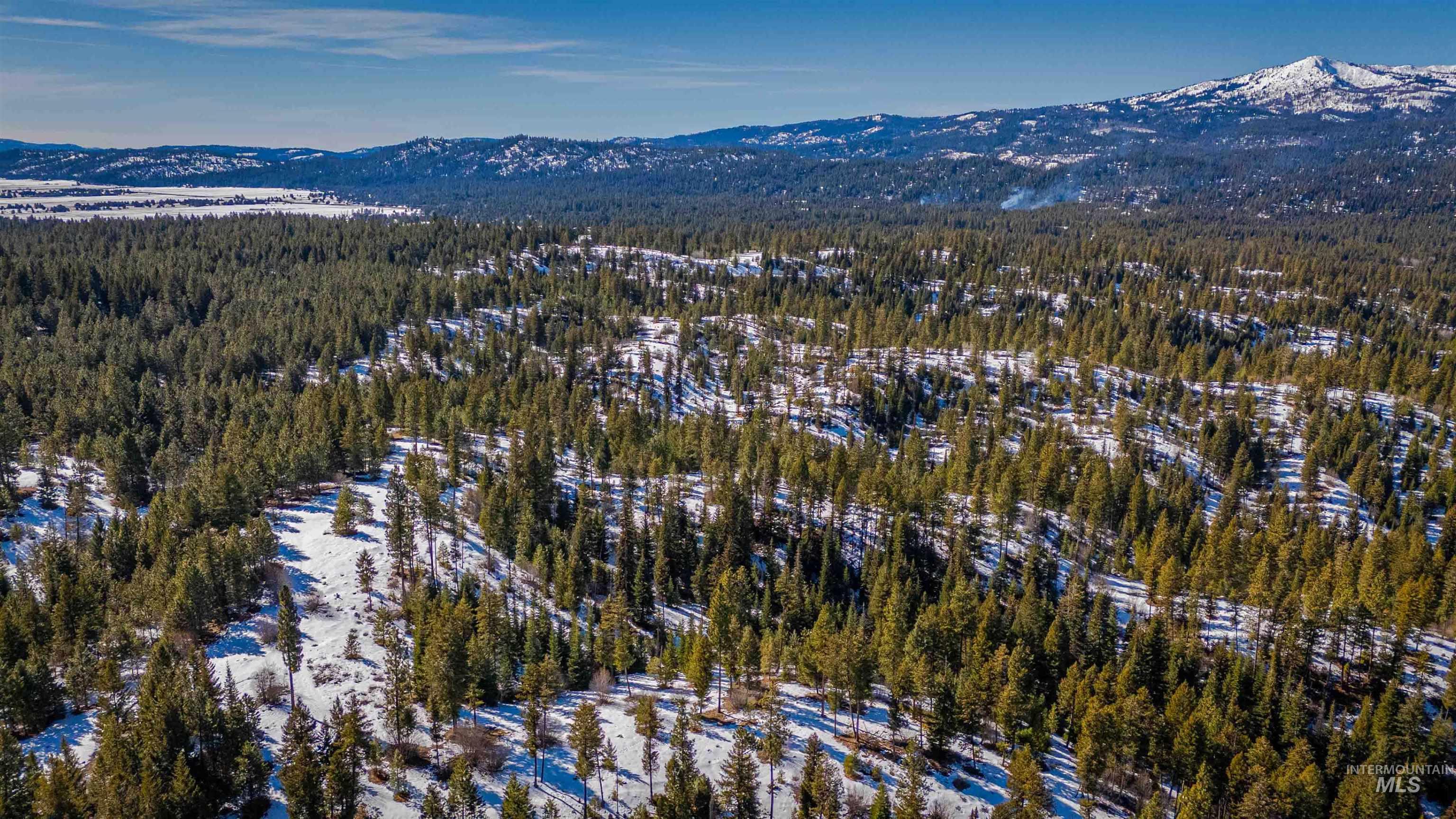 Tbd Skunk Creek Road Cascade, ID 83611 - Photo 28 of 36 Aerial view of property and surrounding area featuring a mountain backdrop and a forest