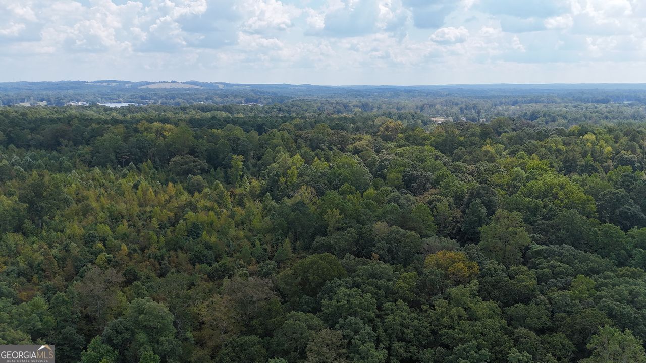 0 Bar J Temple, GA 30179 - Photo 14 of 26