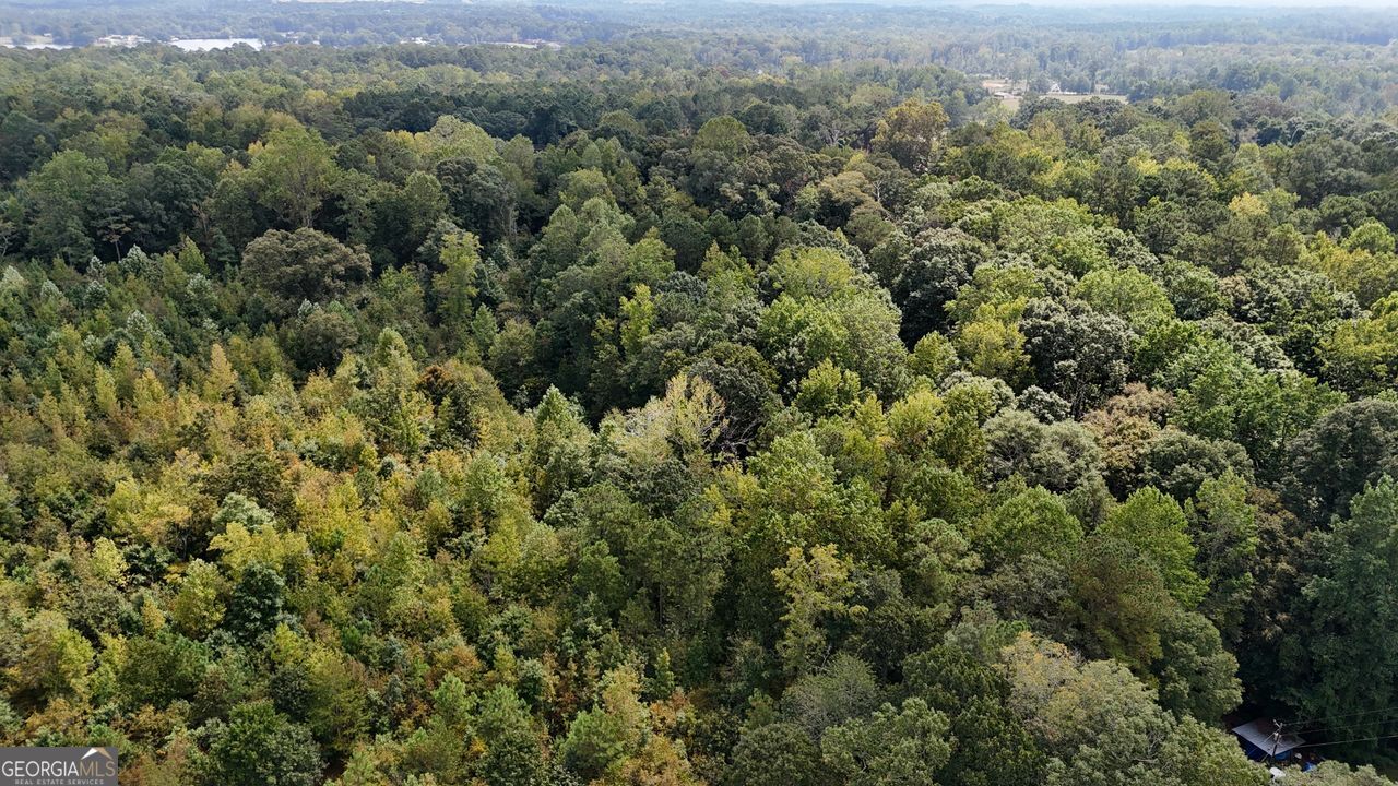 0 Bar J Temple, GA 30179 - Photo 15 of 26