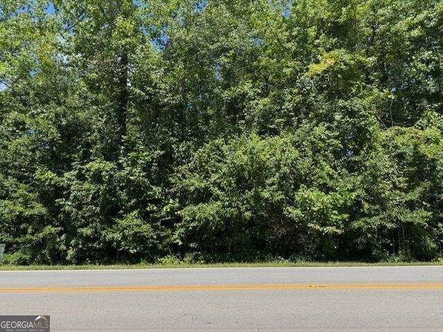 0 Bar J Temple, GA 30179 - Photo 2 of 26