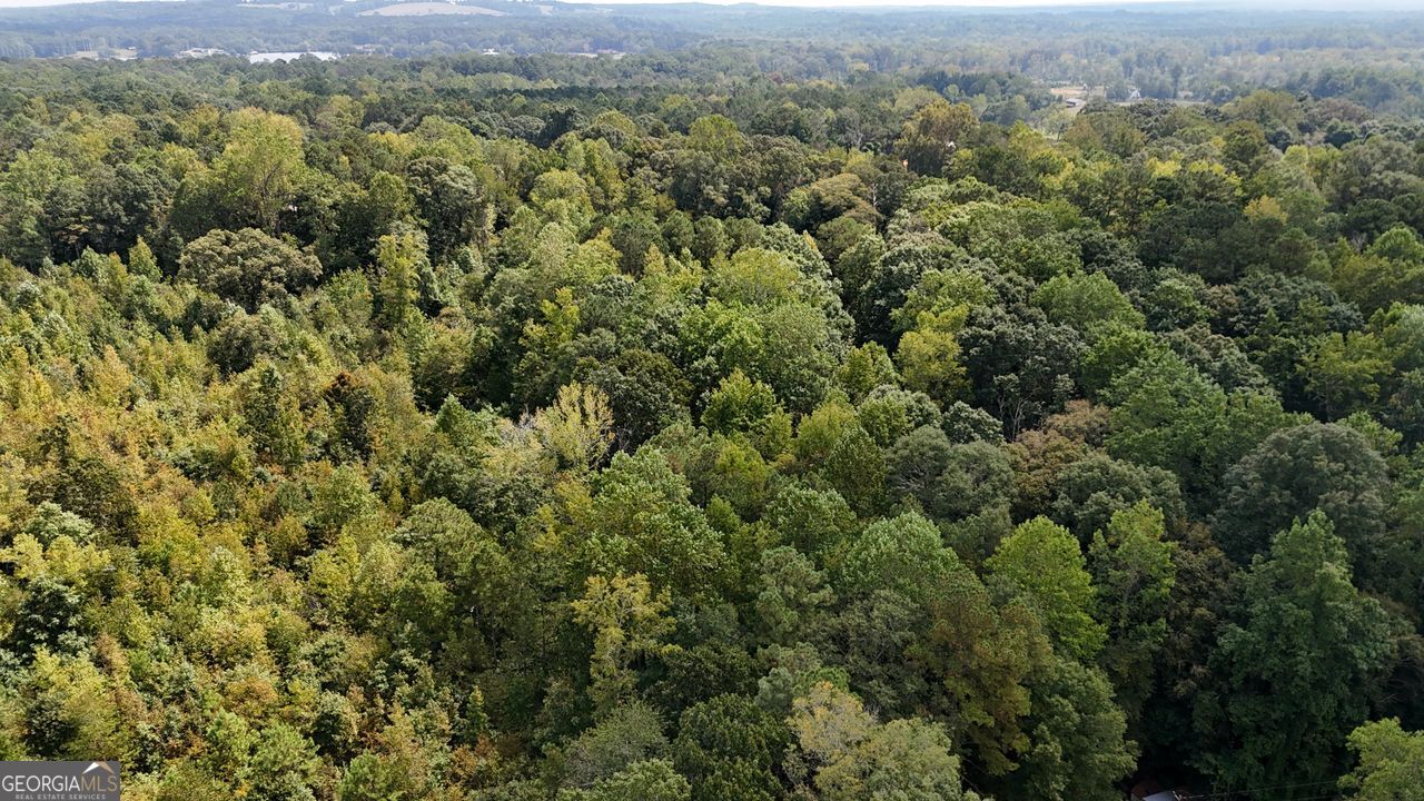 0 Bar J Temple, GA 30179 - Photo 24 of 26