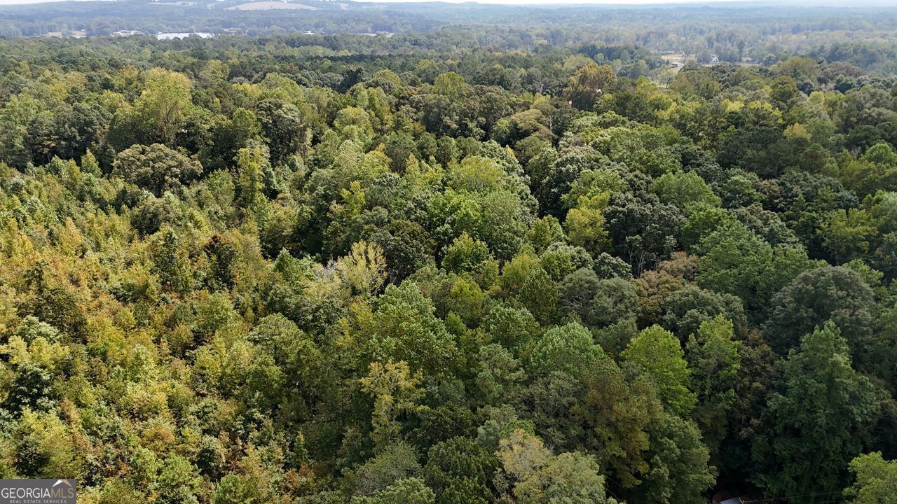 0 Bar J Temple, GA 30179 - Photo 24 of 26