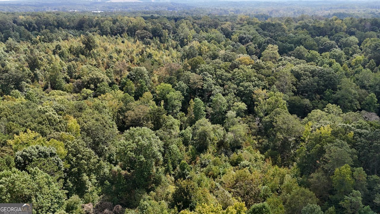 0 Bar J Temple, GA 30179 - Photo 25 of 26