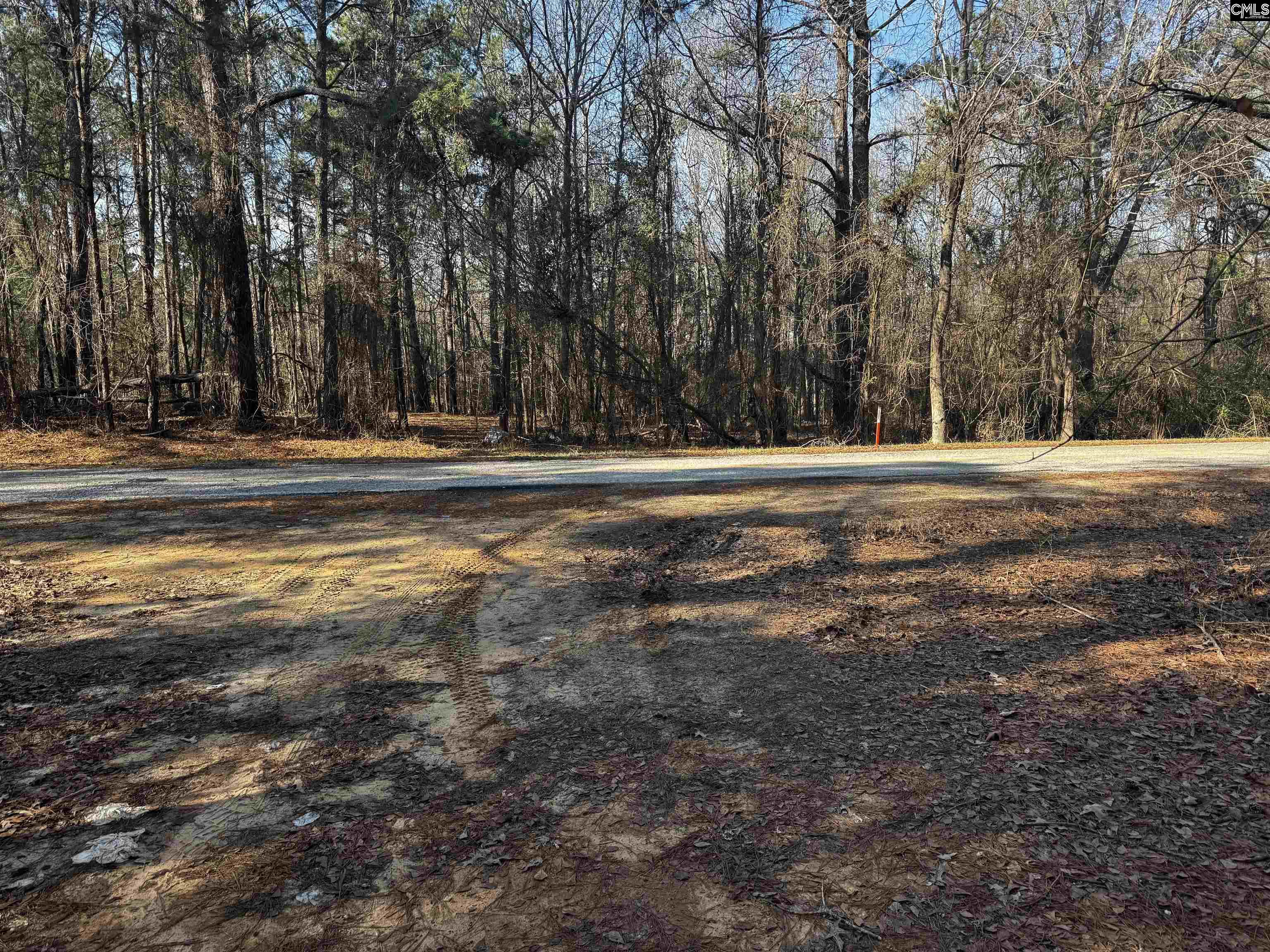 0 Mann Road Winnsboro, SC 29180 - Photo 15 of 22