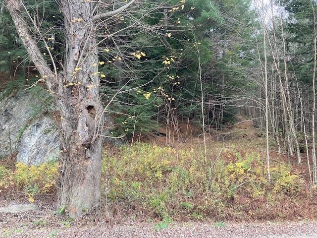 843 River Road Troy, VT 05859 - Photo 11 of 11