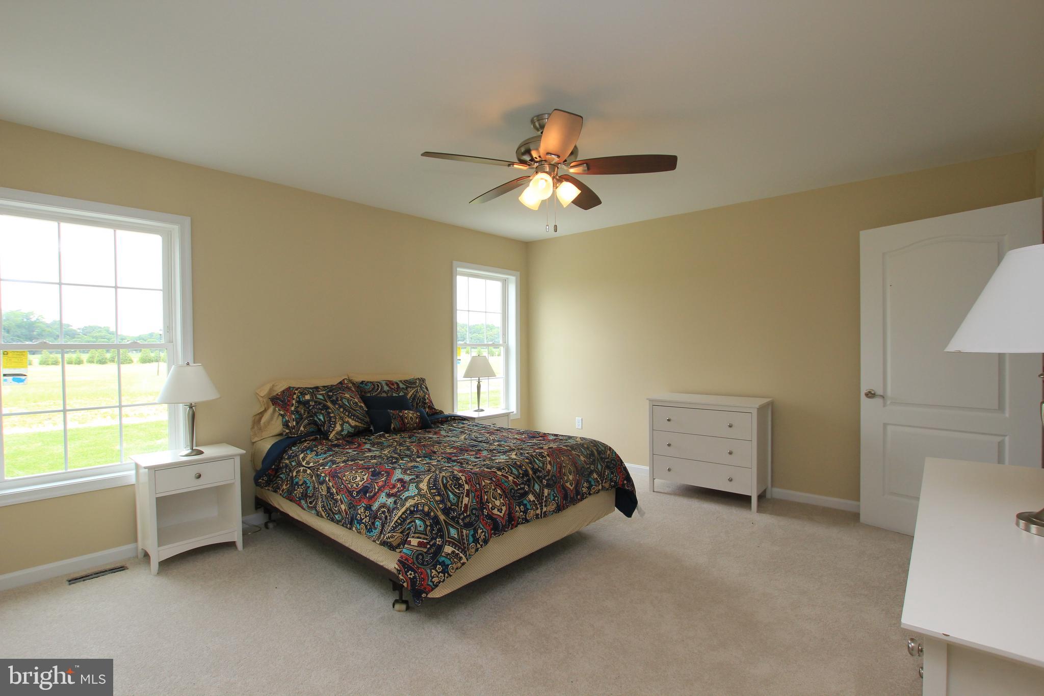 16303 Adams Road Laurel, DE 19956 - Photo 12 of 23 Owners Suite*Photo of similar model