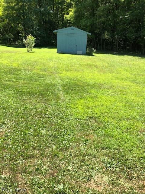 1776 Salt Springs Road Mineral Ridge, OH 44440 - Photo 3 of 15