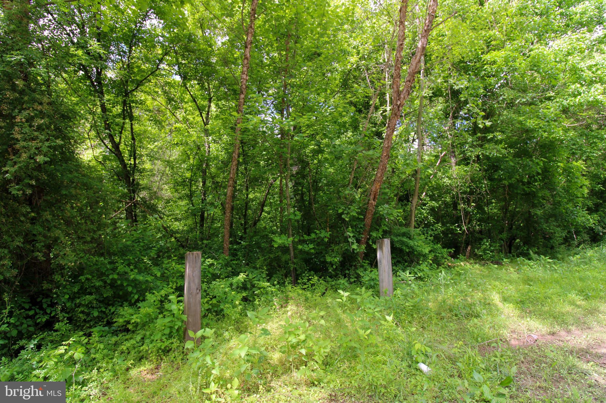 Tbd Cross Stitch Road, Unit 2E Dry Fork, VA 24549 - Photo 7 of 12