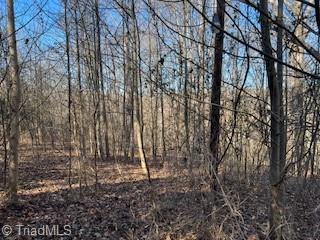 3633 Shacktown Road Yadkinville, NC 27055 - Photo 4 of 10 Gallery Image 4